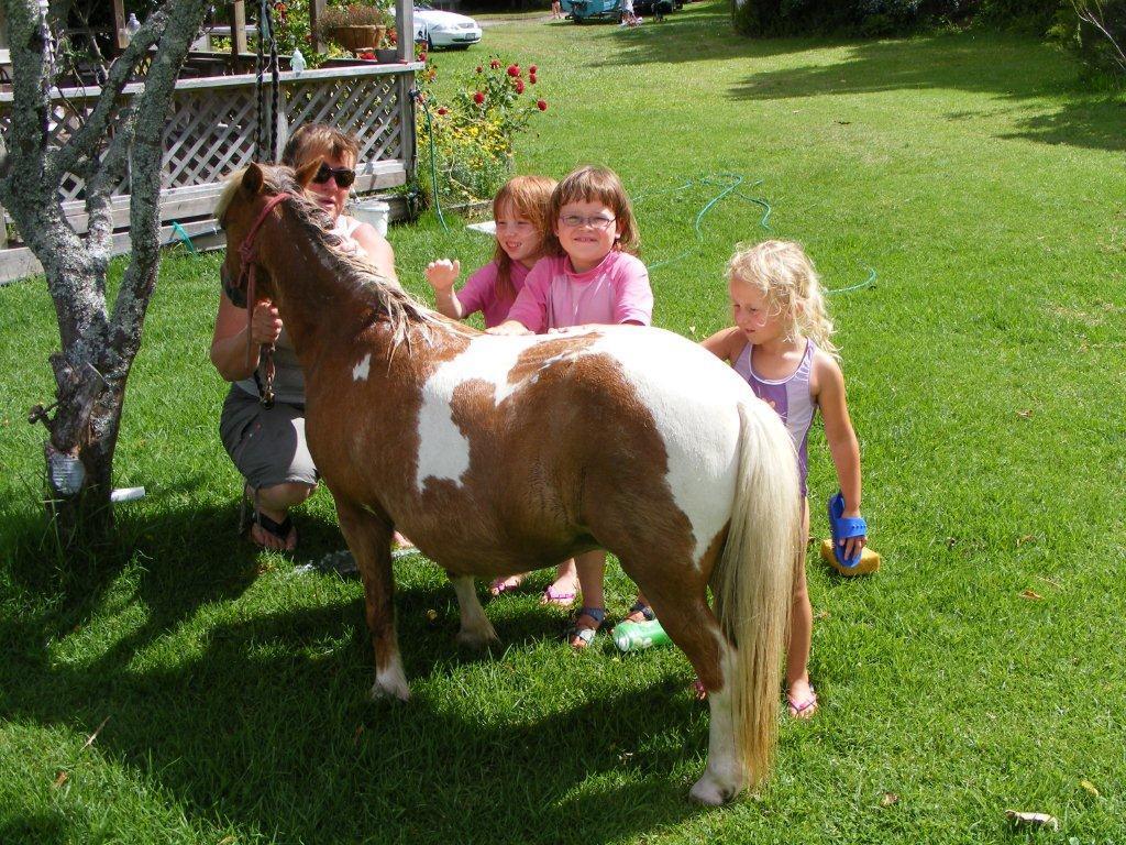 Pukenui Holiday Park Eksteriør bilde