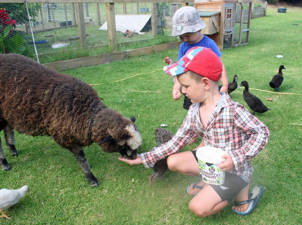 Pukenui Holiday Park Eksteriør bilde